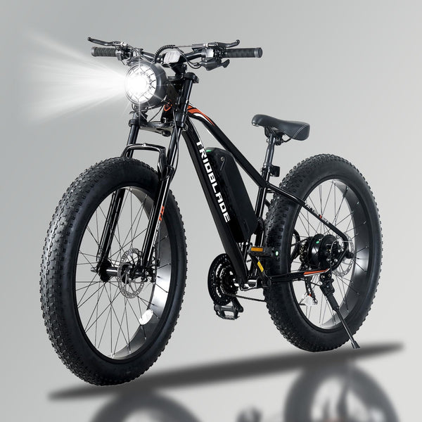 Electric Bike for Adults, Fat Tire Electric Mountain Bike with 250W Motor, 36V 10.4Ah Battery,