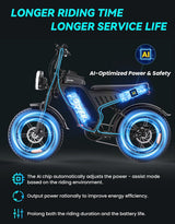 Electric Bicycle with Removable Battery, Dual Suspension, 7-Speed Gears, 20-Inch Fat Tires, LCD Display, Adult Use