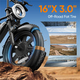Fat Tire Electric Bike for Adults, 48V 13Ah Removable Battery, 250W Brushless Motor E-Bike with Dual Suspension